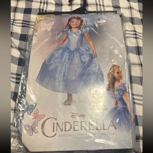 Disney Cinderella costume dress